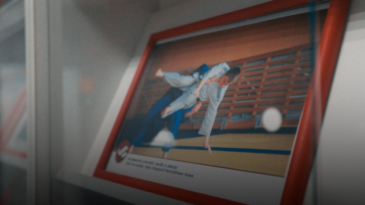 Gallery Highlight #17